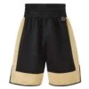 Mayweather Black & Gold Boxing Short