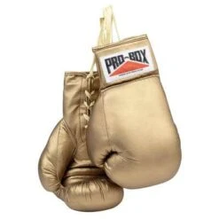 Pro-Box Golden Autograph Gloves