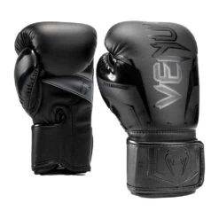 Venum Elite Evo Boxing Gloves – Black/Black