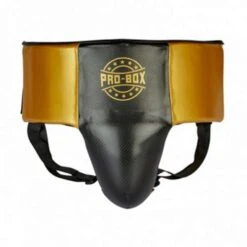 Pro-Box Champ Spar Abdo Guard β Black/Gold