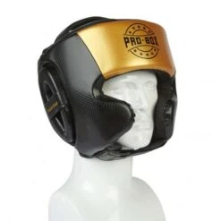 Pro-Box Champ Spar Headguard β Black/Gold