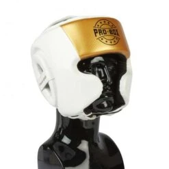 Pro-Box Champ Spar Headguard β White/Gold