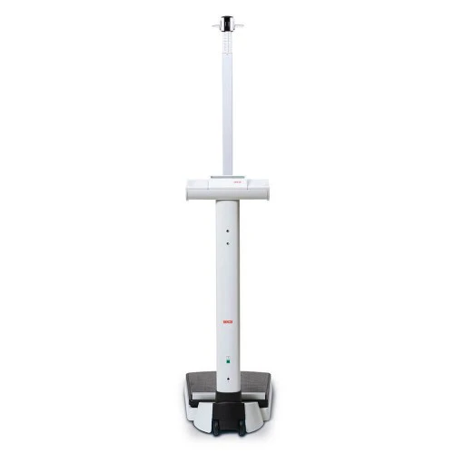Seca 704 Electronic Column Scale. 1 Seca 704 Electronic Column Scale.