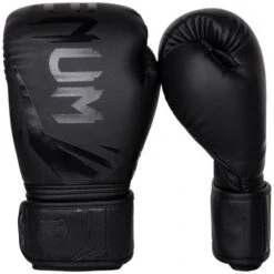 Venum Challenger 3.0 Boxing Glove – Black/Black